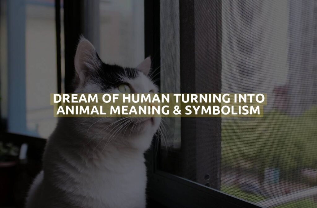 Dream Of Human Turning Into Animal Meaning & Symbolism