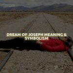 Dream Of Joseph Meaning & Symbolism