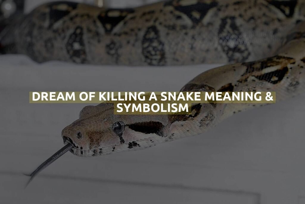 Dream Of Killing A Snake Meaning & Symbolism