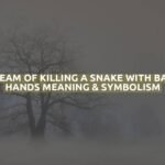 Dream Of Killing A Snake With Bare Hands Meaning & Symbolism