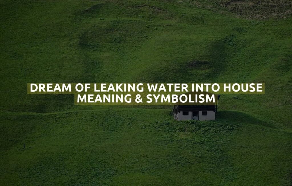 Dream Of Leaking Water Into House Meaning & Symbolism