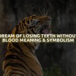 Dream Of Losing Teeth Without Blood Meaning & Symbolism