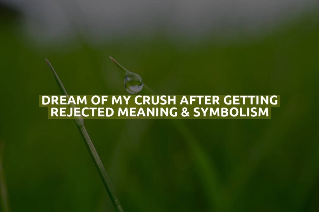 Dream Of My Crush After Getting Rejected Meaning & Symbolism