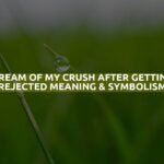 Dream Of My Crush After Getting Rejected Meaning & Symbolism