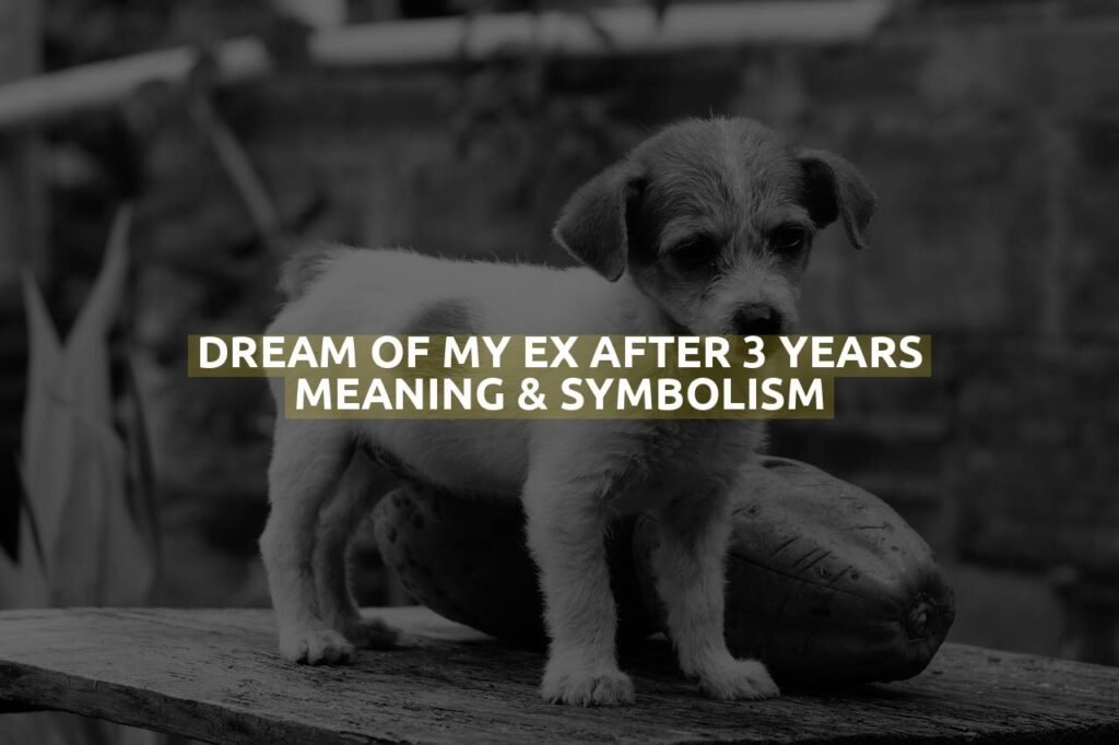 Dream Of My Ex After 3 Years Meaning & Symbolism