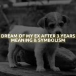 Dream Of My Ex After 3 Years Meaning & Symbolism