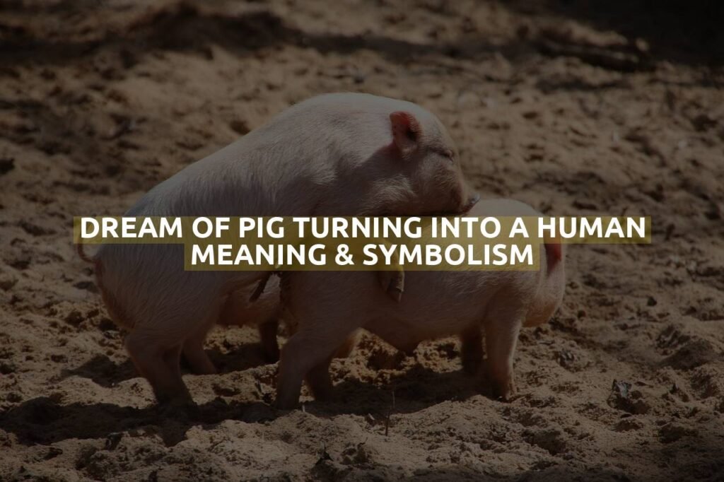 Dream Of Pig Turning Into A Human Meaning & Symbolism