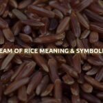 Dream Of Rice Meaning & Symbolism