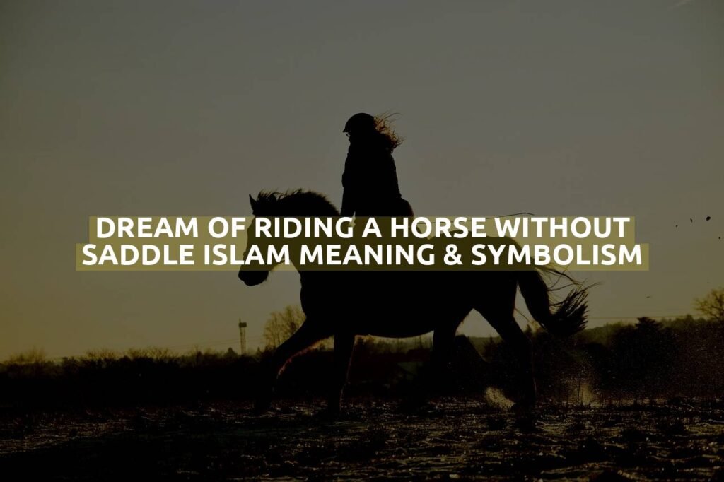 Dream Of Riding A Horse Without Saddle Islam Meaning & Symbolism