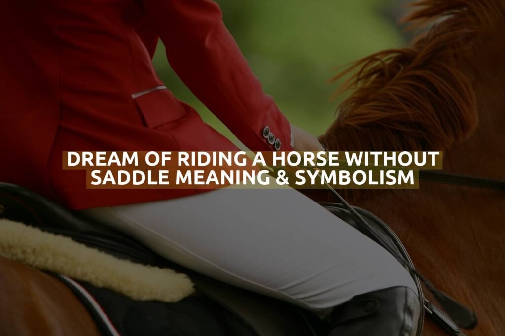 Dream Of Riding A Horse Without Saddle Meaning & Symbolism