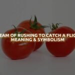 Dream Of Rushing To Catch A Flight Meaning & Symbolism