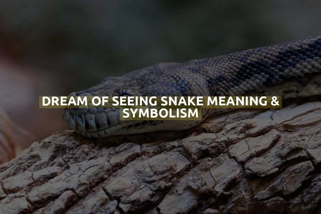 Dream Of Seeing Snake Meaning & Symbolism