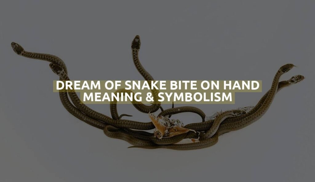 Dream Of Snake Bite On Hand Meaning & Symbolism