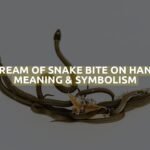 Dream Of Snake Bite On Hand Meaning & Symbolism