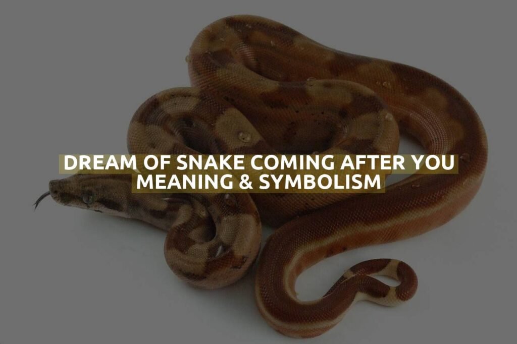 Dream Of Snake Coming After You Meaning & Symbolism