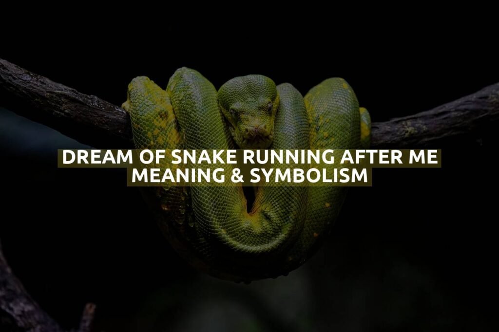 Dream Of Snake Running After Me Meaning & Symbolism