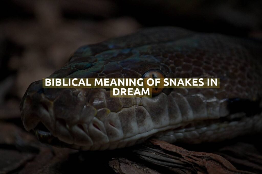 Biblical Meaning of Snakes in Dream