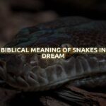 Biblical Meaning of Snakes in Dream