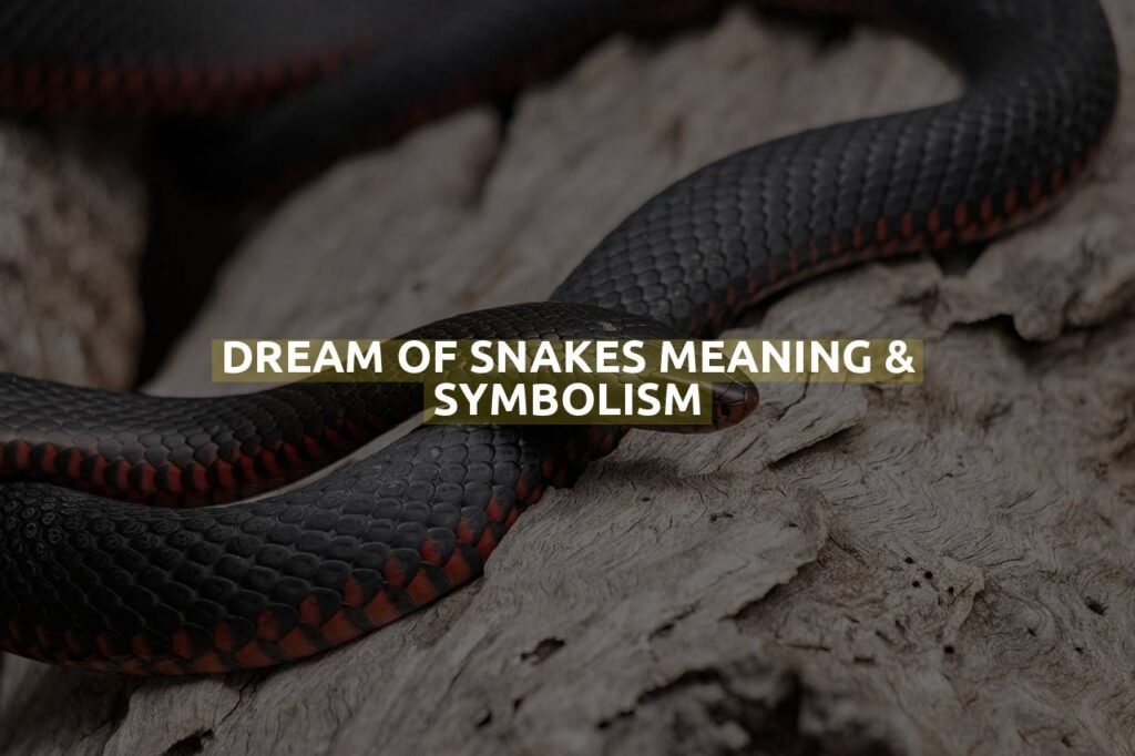 Dream Of Snakes Meaning & Symbolism