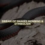 Dream Of Snakes Meaning & Symbolism