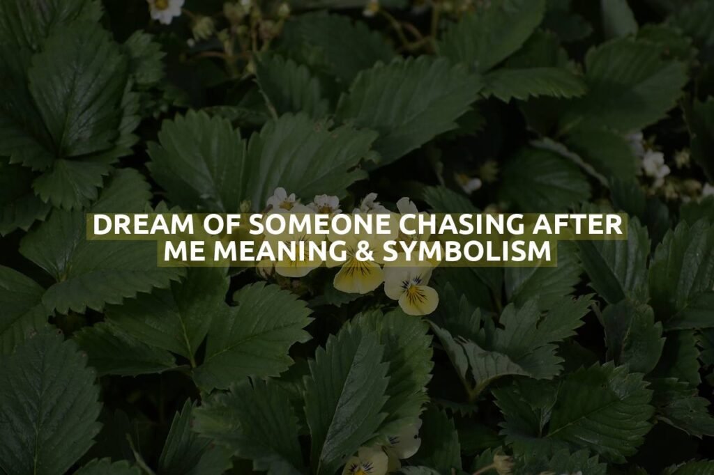 Dream Of Someone Chasing After Me Meaning & Symbolism