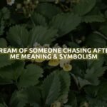 Dream Of Someone Chasing After Me Meaning & Symbolism