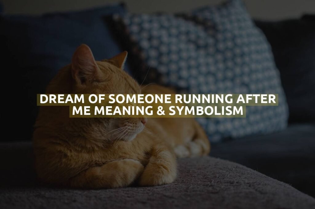 Dream Of Someone Running After Me Meaning & Symbolism