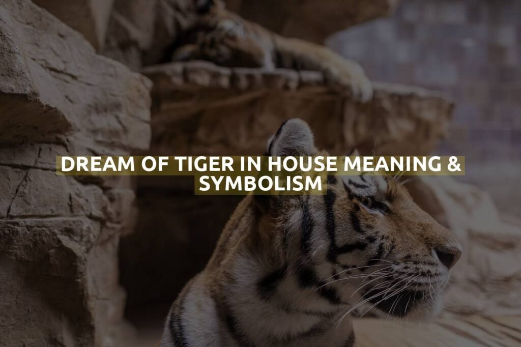 Dream Of Tiger In House Meaning & Symbolism