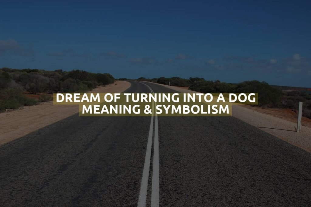 Dream Of Turning Into A Dog Meaning & Symbolism