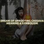 Dream Of Uprooting Cassava Meaning & Symbolism