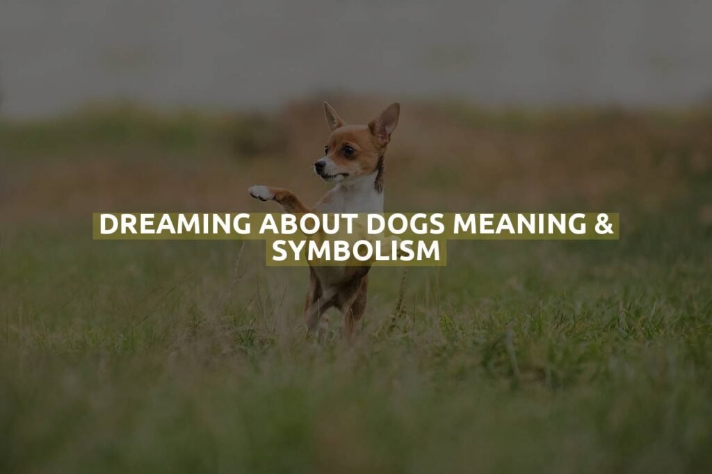 Dreaming About Dogs Meaning & Symbolism