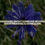 Dreaming About Someone Moving Away Meaning & Symbolism