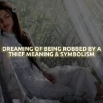 Dreaming Of Being Robbed By A Thief Meaning & Symbolism