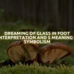 Dreaming Of Glass In Foot Interpretation And S Meaning & Symbolism