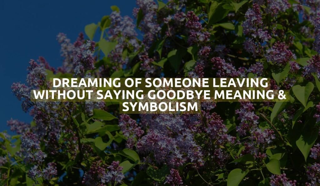 Dreaming Of Someone Leaving Without Saying Goodbye Meaning & Symbolism