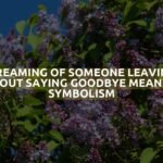 Dreaming Of Someone Leaving Without Saying Goodbye Meaning & Symbolism