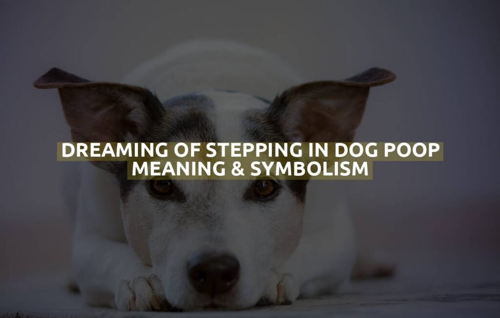 Dreaming Of Stepping In Dog Poop Meaning & Symbolism