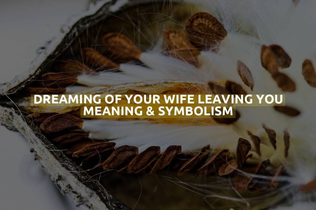 Dreaming Of Your Wife Leaving You Meaning & Symbolism