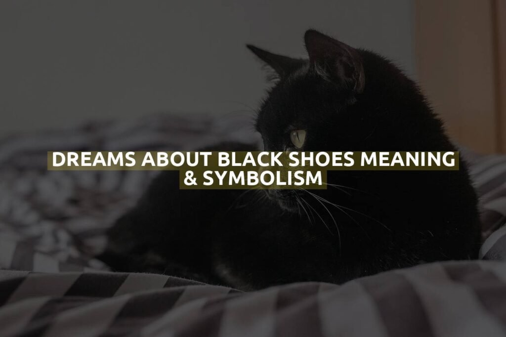 Dreams About Black Shoes Meaning & Symbolism