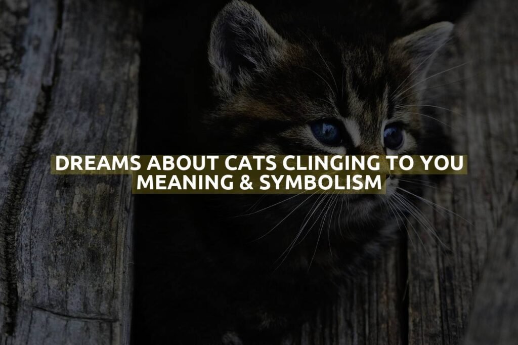 Dreams About Cats Clinging To You Meaning & Symbolism