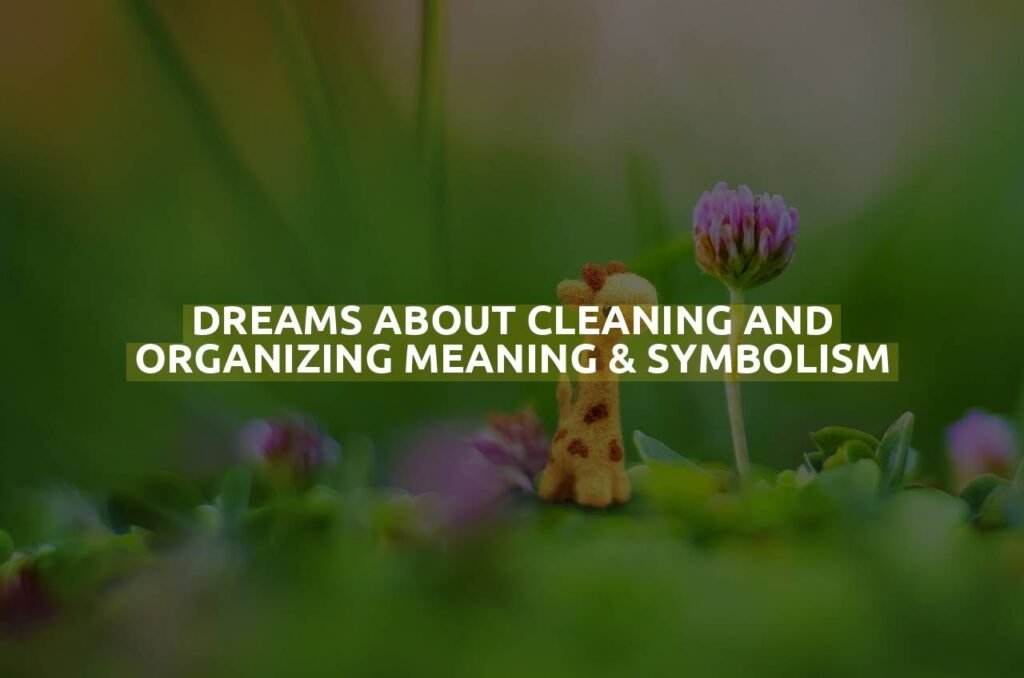 Dreams About Cleaning And Organizing Meaning & Symbolism