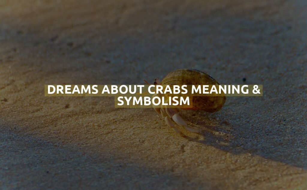 Dreams About Crabs Meaning & Symbolism