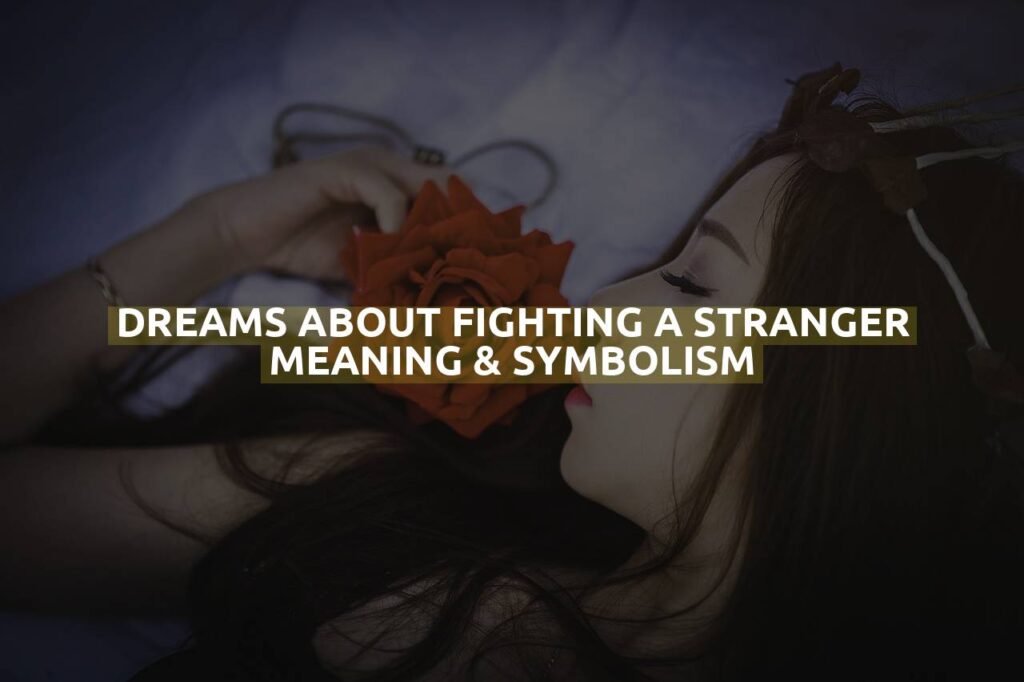 Dreams About Fighting A Stranger Meaning & Symbolism