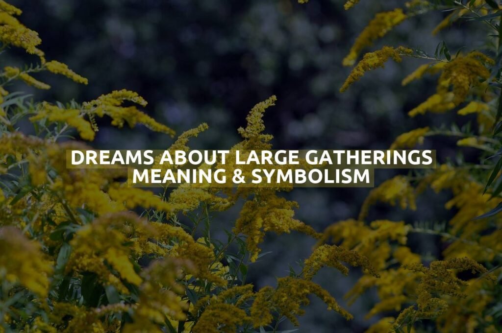 Dreams About Large Gatherings Meaning & Symbolism