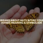 Dreams About Rats Biting Your Hands Meaning & Symbolism