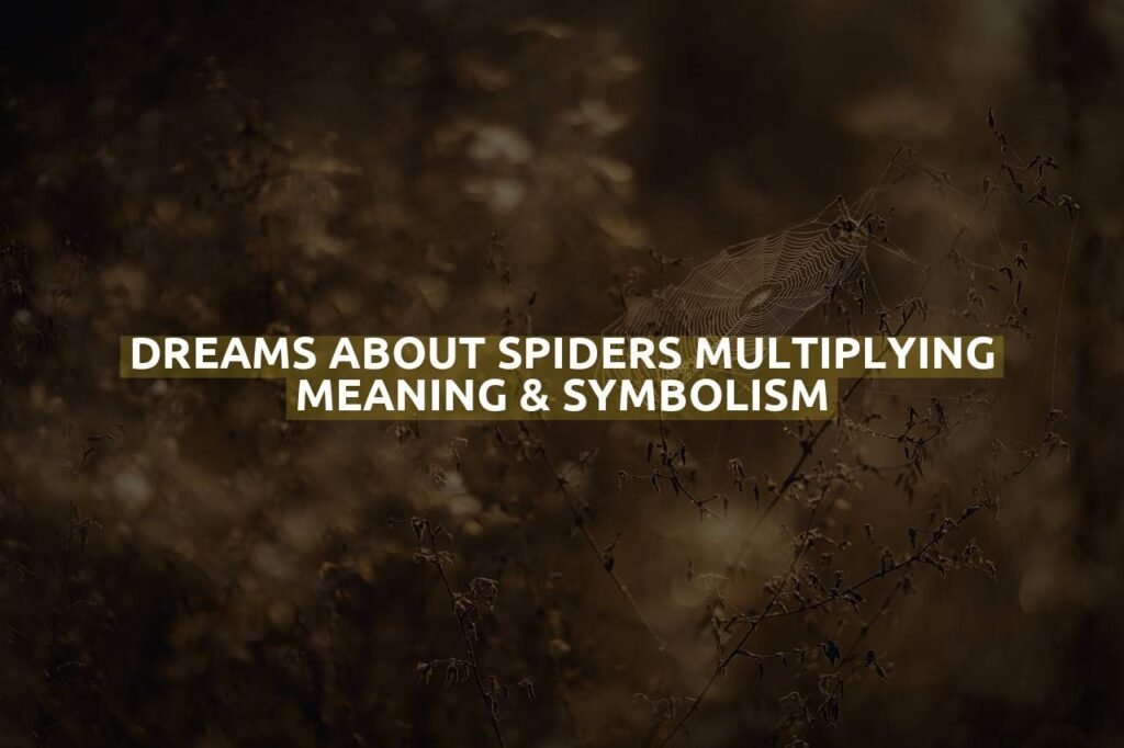 Dreams About Spiders Multiplying Meaning & Symbolism