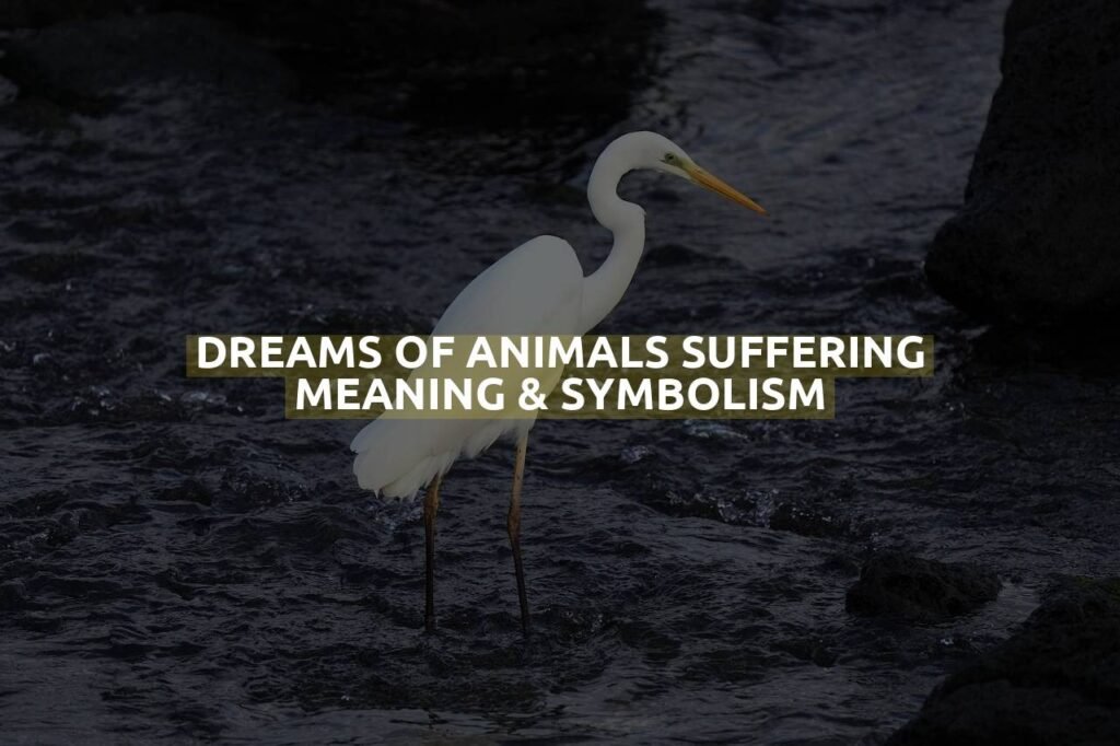 Dreams Of Animals Suffering Meaning & Symbolism