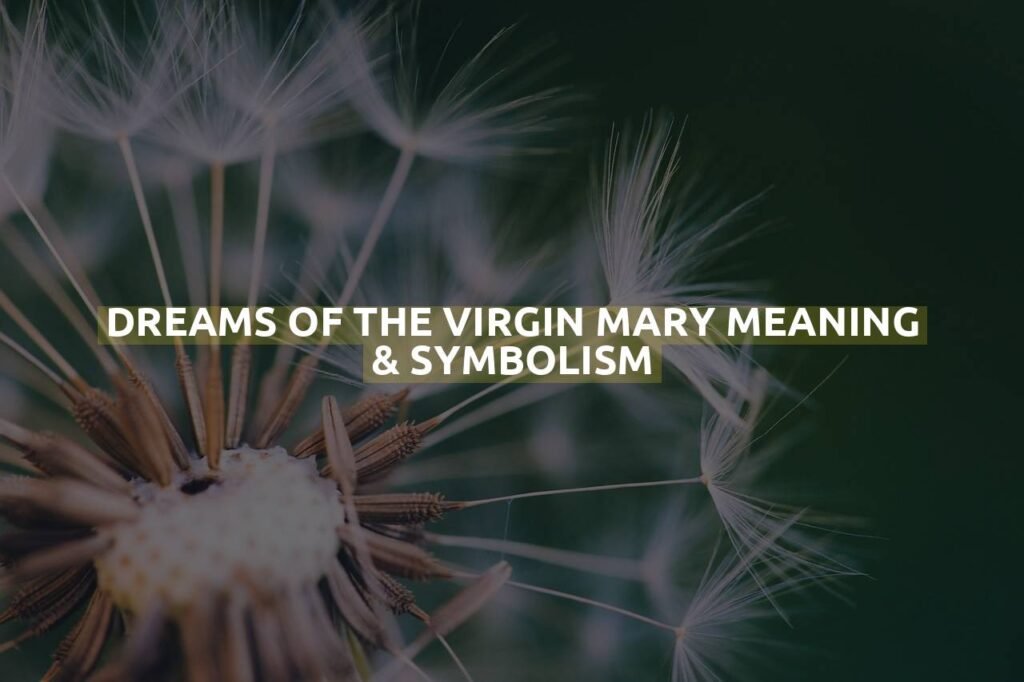 Dreams Of The Virgin Mary Meaning & Symbolism