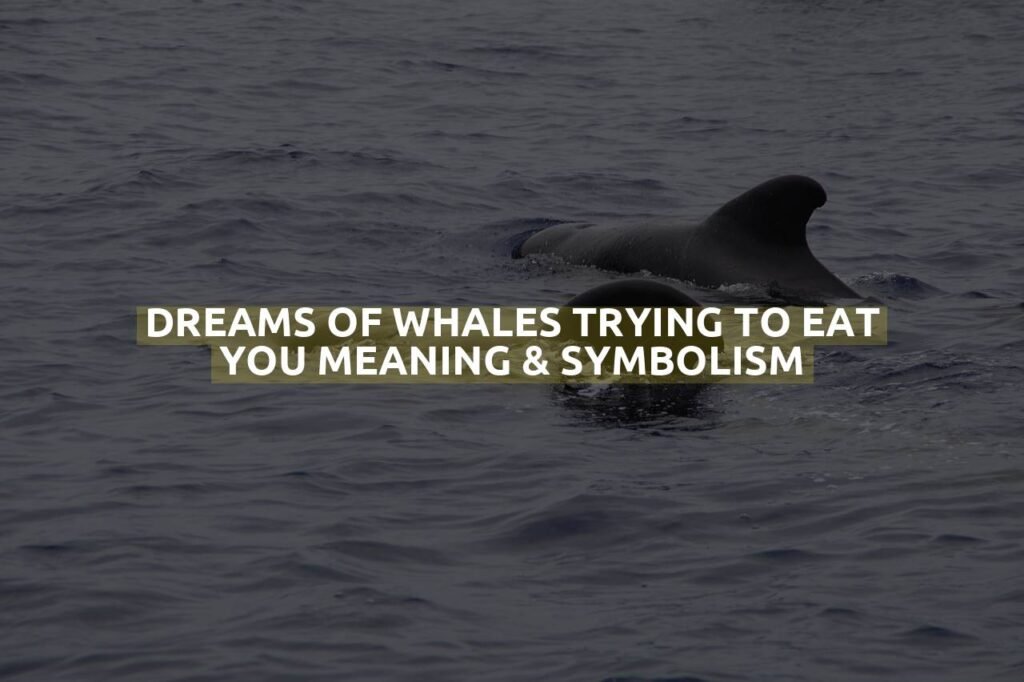 Dreams Of Whales Trying To Eat You Meaning & Symbolism