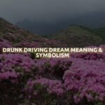 Drunk Driving Dream Meaning & Symbolism